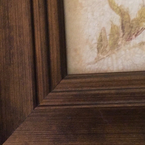 20 1/2” X 20 1/2” Maroon & Gold Floral Picture - Picture 7 of 8